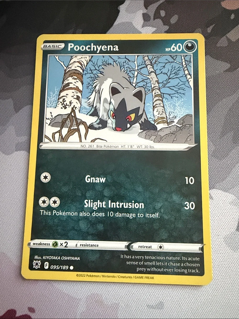 Poochyena & Mightyena Evolution Collection Lot | 5 Pokémon Cards | ✨5/$25✨